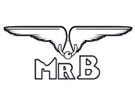 Mister B