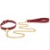 Taboom Bondage in Luxury O-Ring Collar and Chain Leash