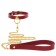Taboom Bondage in Luxury O-Ring Collar and Chain Leash